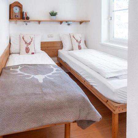 Schmitten & Cityxpress Apartment 1 And 2 زيل أم سي المظهر الخارجي الصورة
