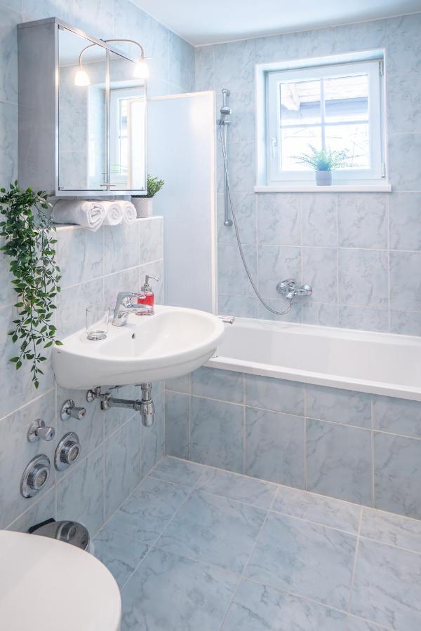 Schmitten & Cityxpress Apartment 1 And 2 زيل أم سي المظهر الخارجي الصورة